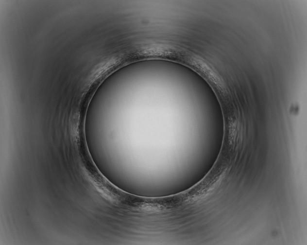 X0000100340490200806121154