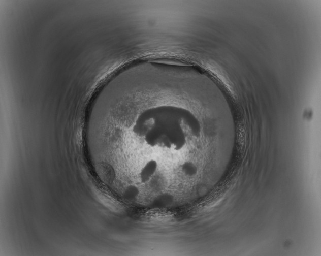 X0000100340491200806121154