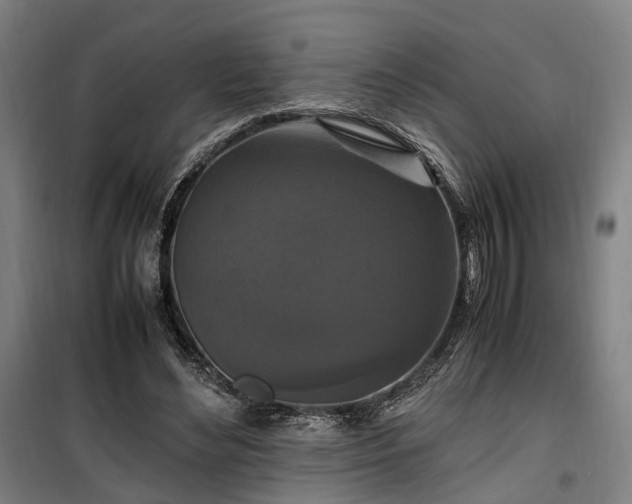 X0000100340492200806121154