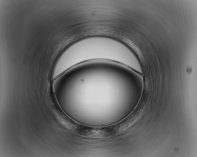 X0000100340493200806121154