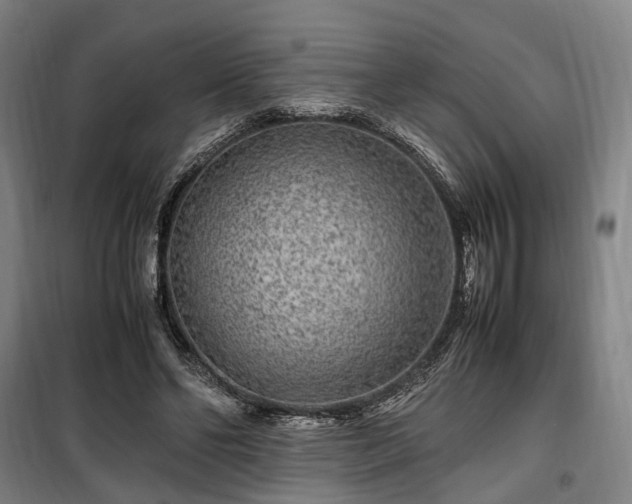 X0000100340494200806121154