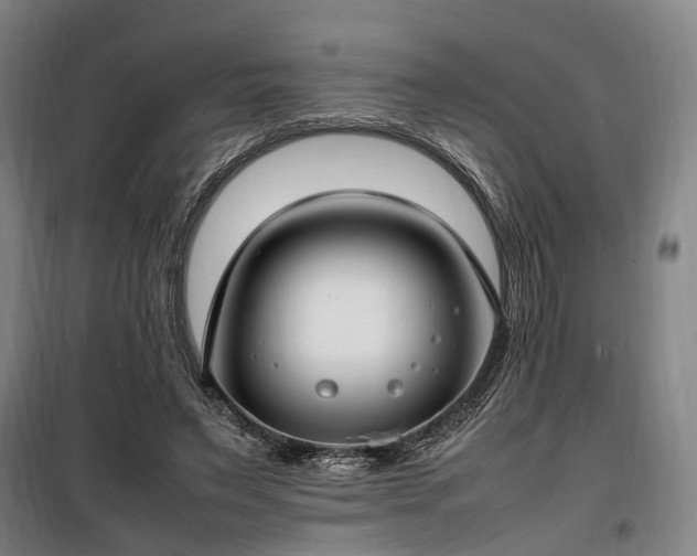 X0000100340495200806121154