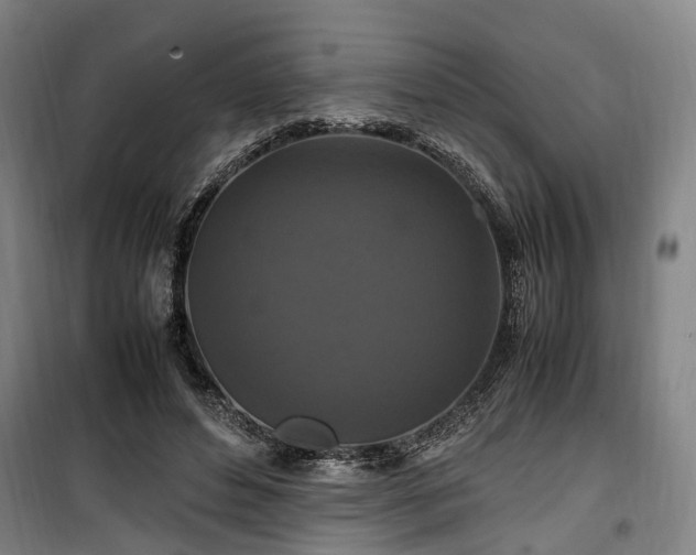 X0000100340496200806121154