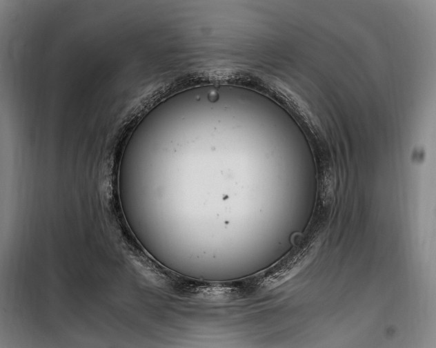 X0000100340497200806121154