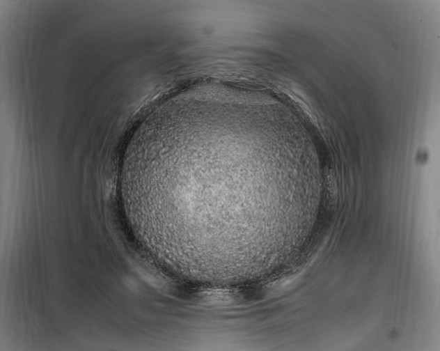 X0000100340499200806121154