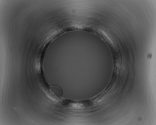 X0000100340500200806121154