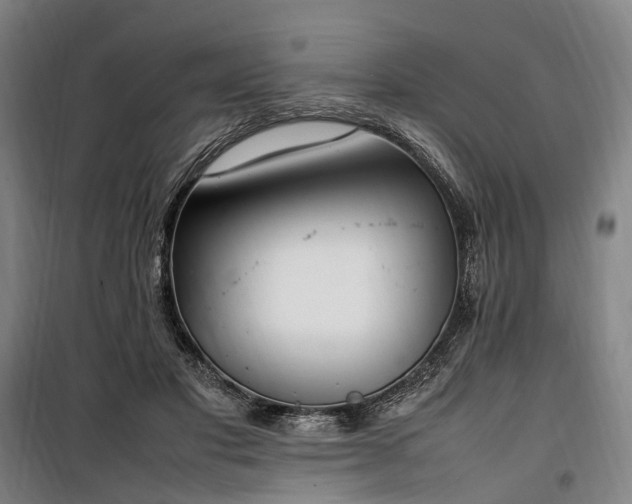 X0000100340501200806121154