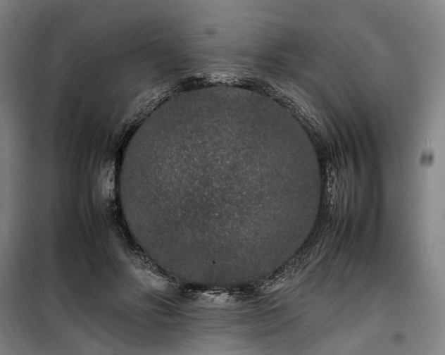 X0000100340502200806121154