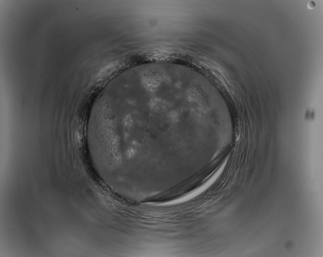 X0000100340503200806121154