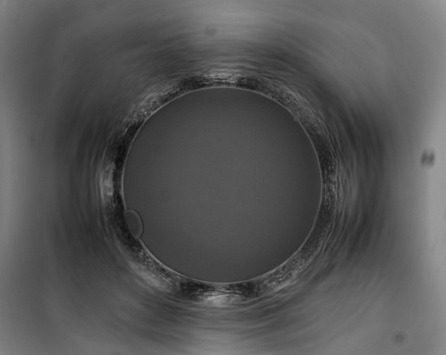 X0000100340504200806121154