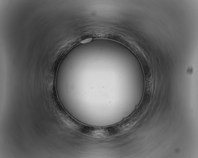 X0000100340505200806121154