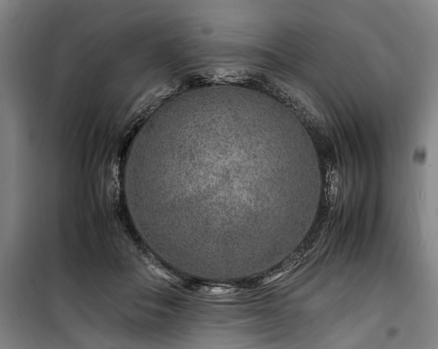 X0000100340506200806121154