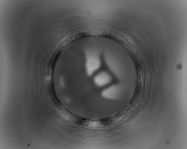 X0000100340507200806121154