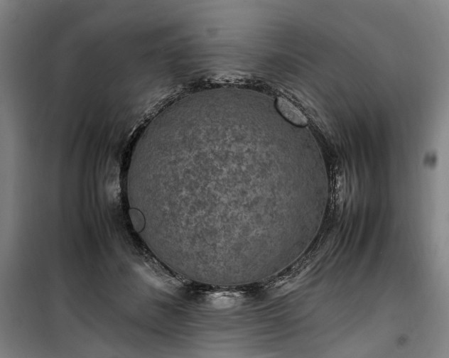 X0000100340508200806121154