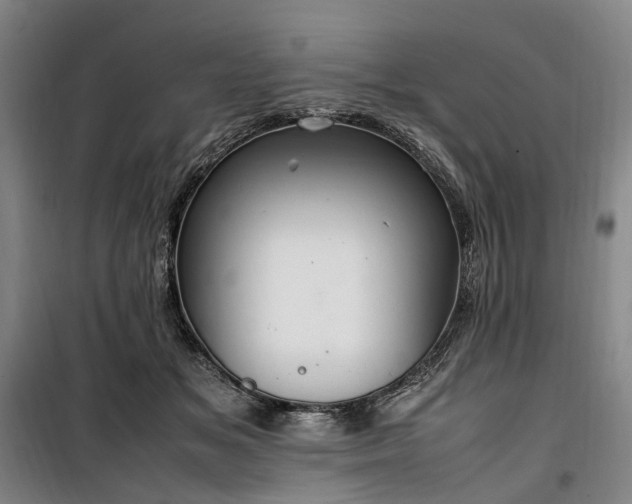 X0000100340509200806121154