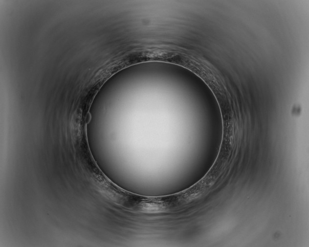 X0000100340510200806121153