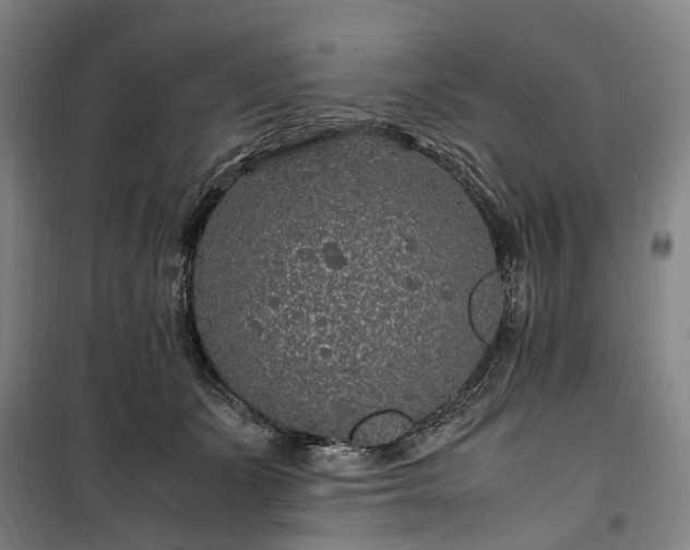 X0000100340511200806121153