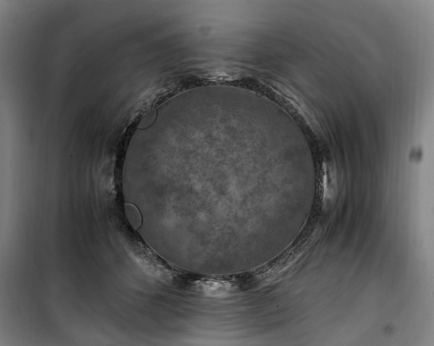 X0000100340512200806121153