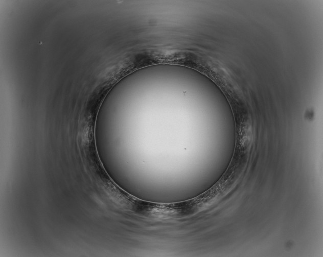 X0000100340515200806121153