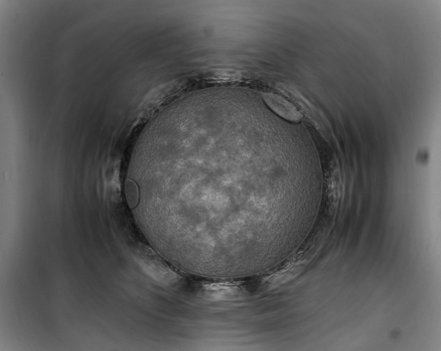 X0000100340516200806121153