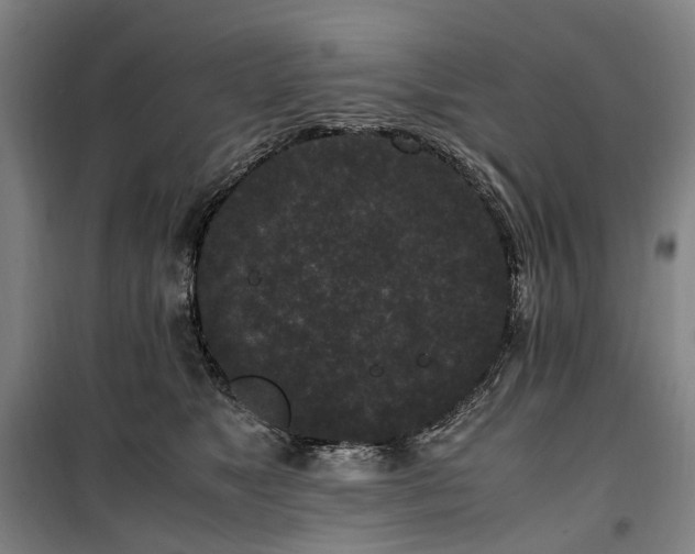 X0000100340517200806121153