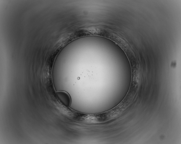 X0000100340518200806121153