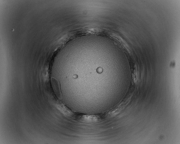 X0000100340520200806121153