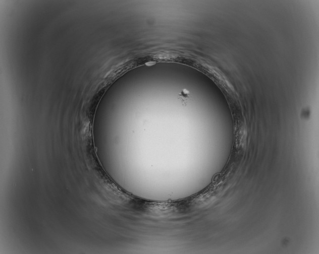 X0000100340521200806121153