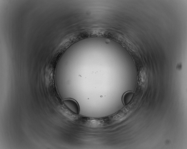 X0000100340522200806121153