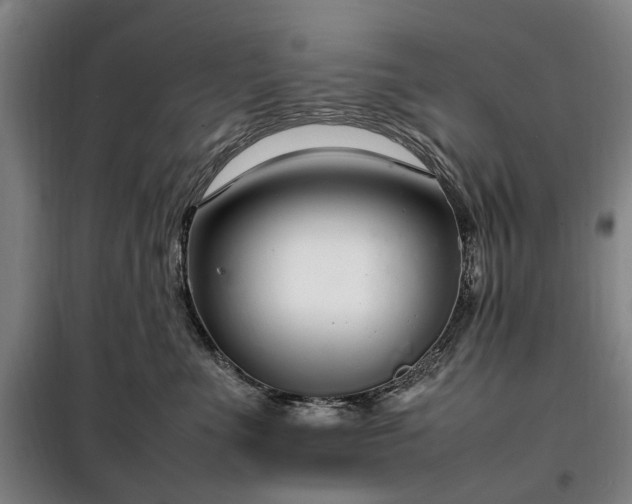 X0000100340523200806121153