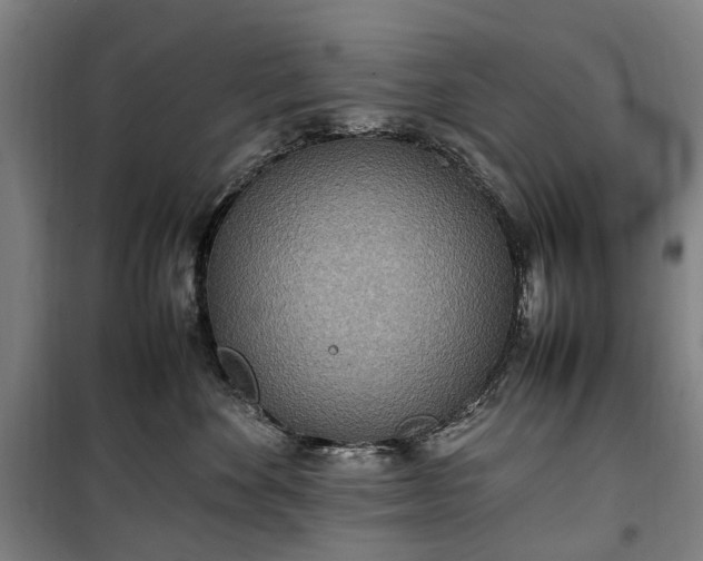 X0000100340524200806121153