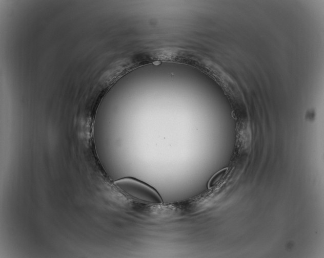 X0000100340525200806121153