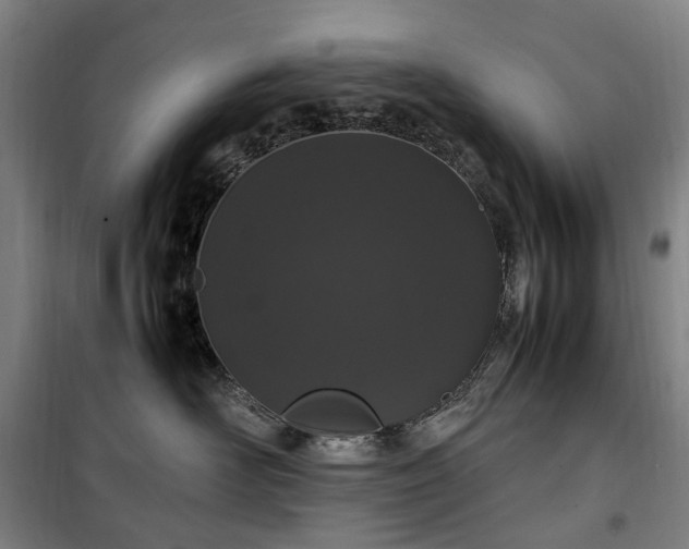 X0000100340526200806121153