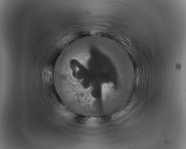 X0000100340527200806121153