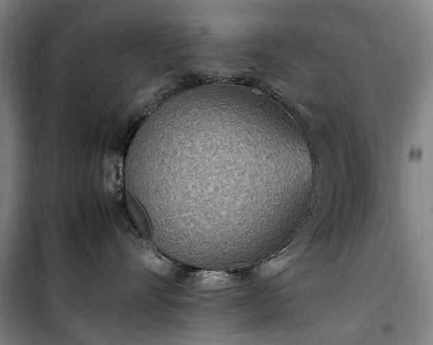 X0000100340528200806121153