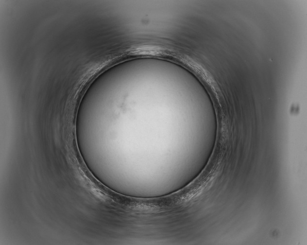 X0000100340529200806121152