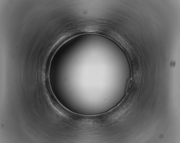 X0000100340530200806121153