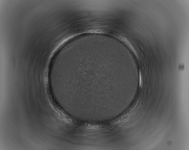 X0000100340531200806121153