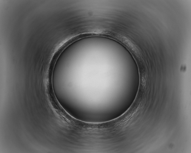 X0000100340532200806121153