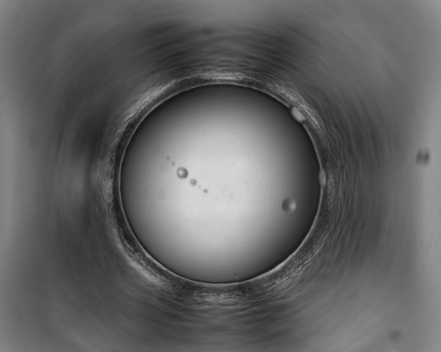 X0000100340533200806121153