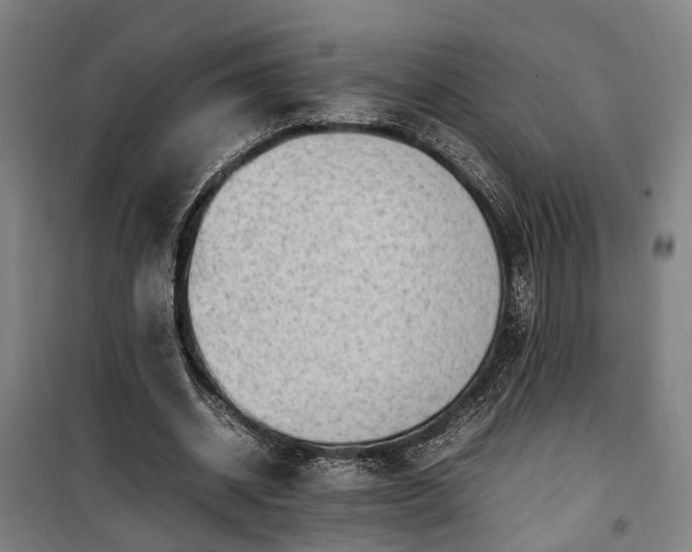 X0000100340534200806121153