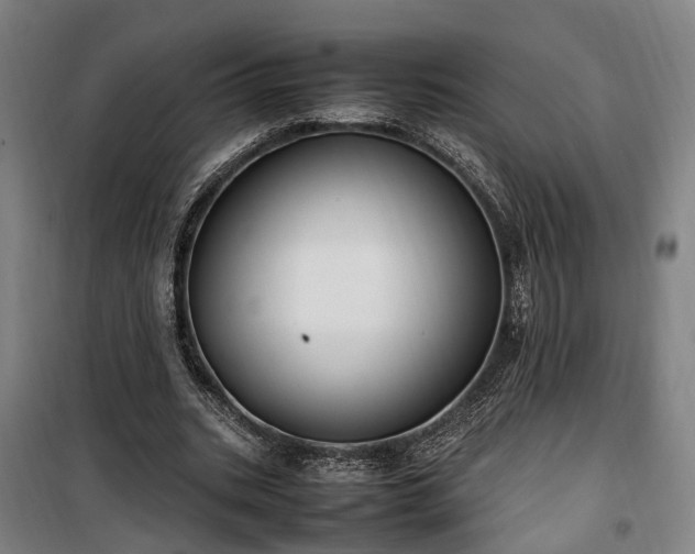 X0000100340535200806121153