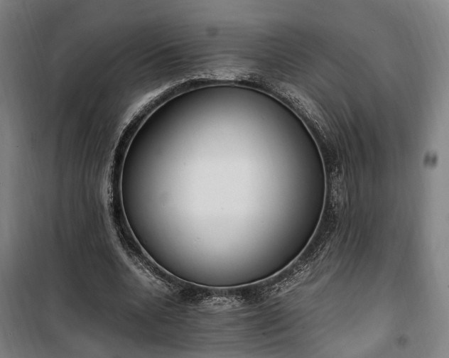 X0000100340536200806121153