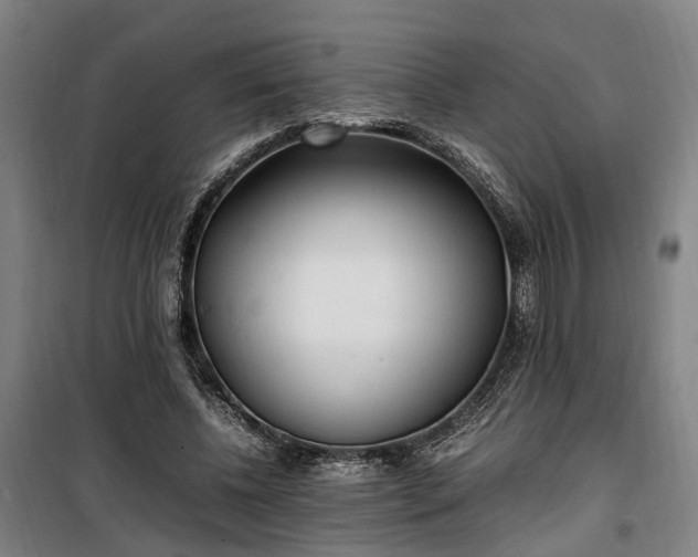 X0000100340540200806121153