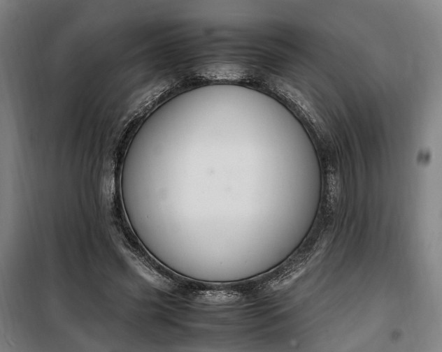 X0000100340541200806121153