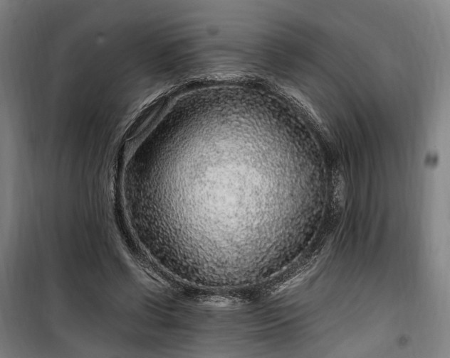 X0000100340542200806121153