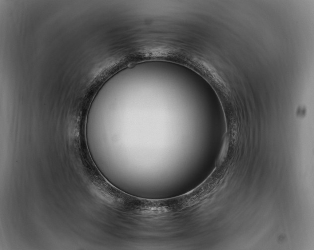 X0000100340543200806121153