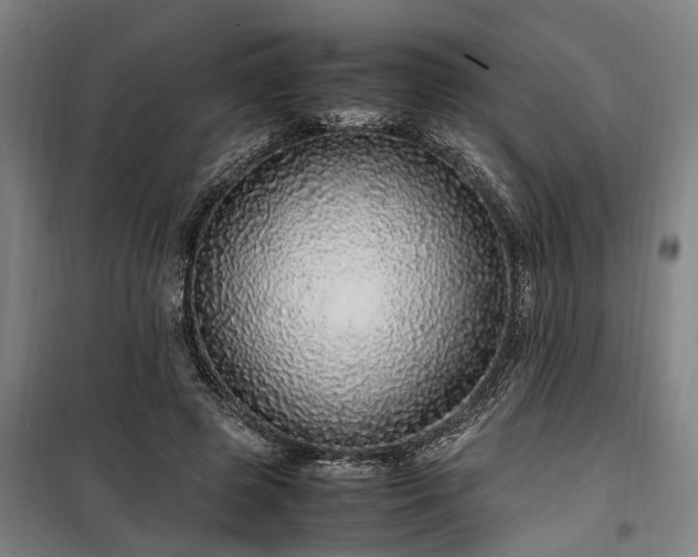 X0000100340545200806121153