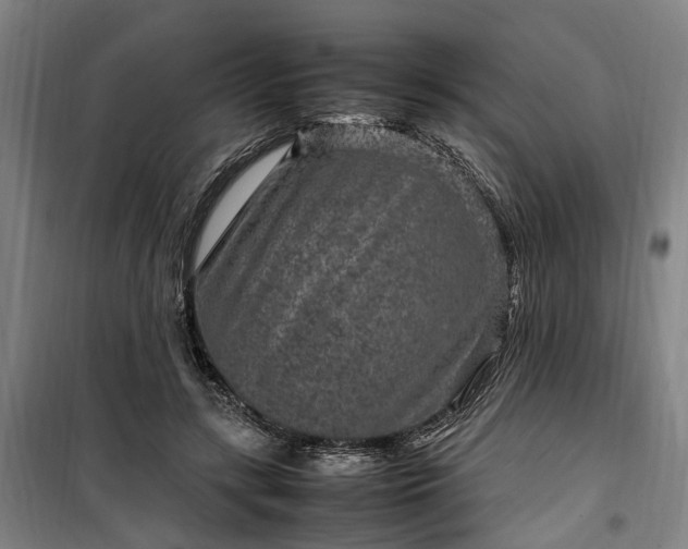 X0000100340547200806121153