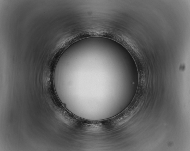 X0000100340548200806121153